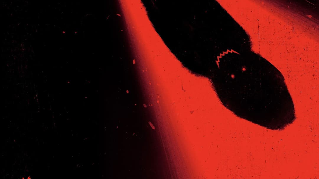 image is not available