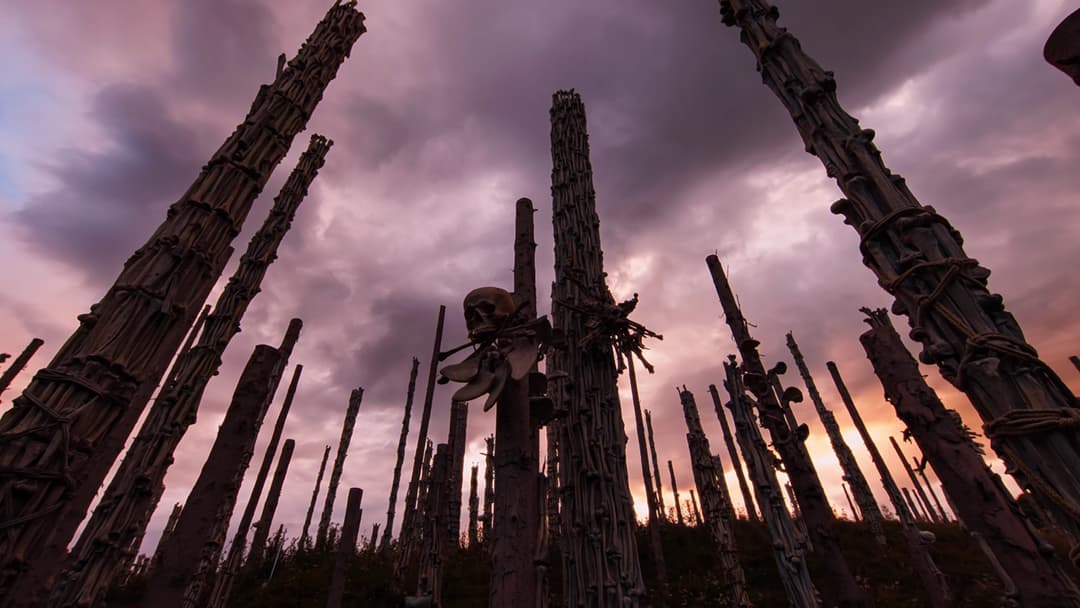 image is not available