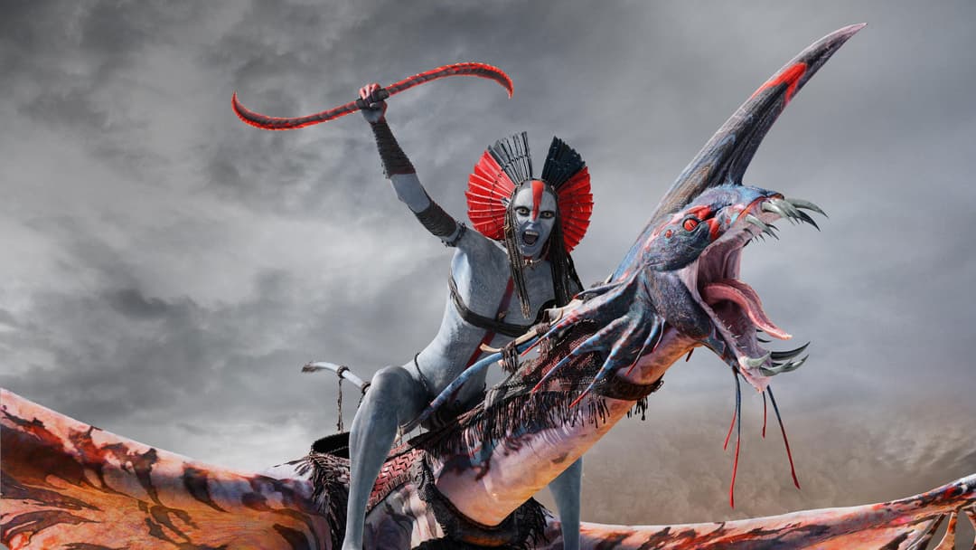 image is not available