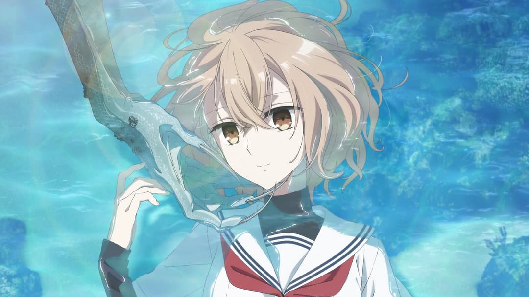 image is not available